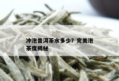 冲泡普洱茶水多少？完美泡茶度揭秘