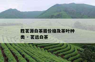 胜茗源白茶眉价格及茶叶种类 - 茗远白茶