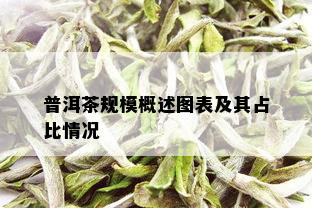 普洱茶规模概述图表及其占比情况