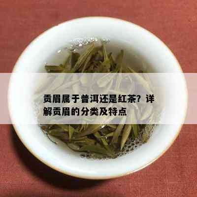 贡眉属于普洱还是红茶？详解贡眉的分类及特点