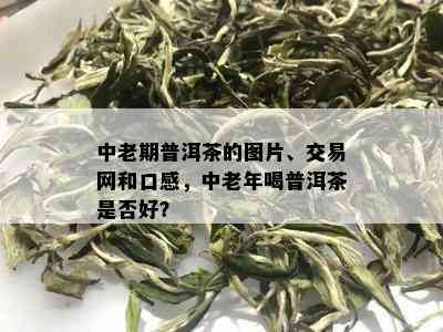 中老期普洱茶的图片、交易网和口感，中老年喝普洱茶是否好？