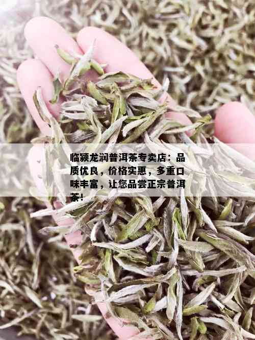 临颍龙润普洱茶专卖店：品质优良，价格实惠，多重口味丰富，让您品尝正宗普洱茶！