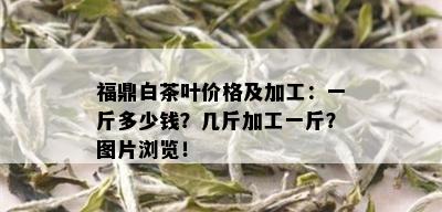 福鼎白茶叶价格及加工：一斤多少钱？几斤加工一斤？图片浏览！