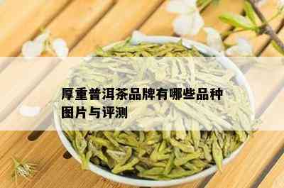 厚重普洱茶品牌有哪些品种图片与评测