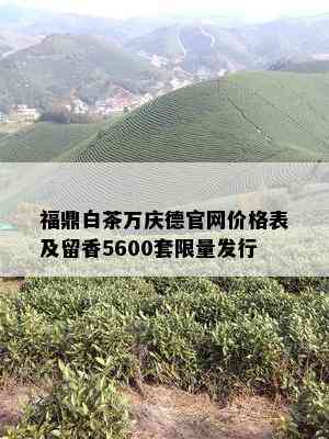 福鼎白茶万庆德官网价格表及留香5600套 *** 发行