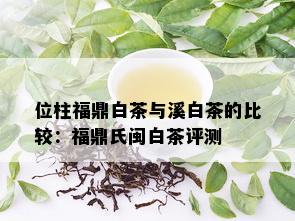 位柱福鼎白茶与溪白茶的比较：福鼎氏闽白茶评测