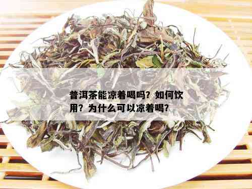 普洱茶能凉着喝吗？如何饮用？为什么可以凉着喝？