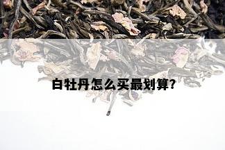 白牡丹怎么买最划算？