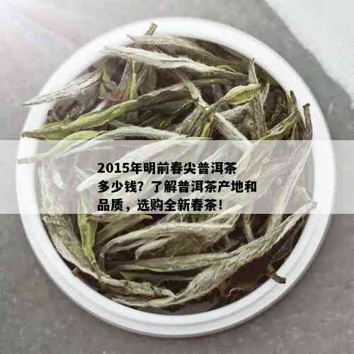 2015年明前春尖普洱茶多少钱？了解普洱茶产地和品质，选购全新春茶！