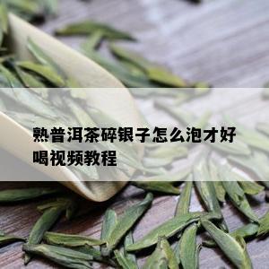 熟普洱茶碎银子怎么泡才好喝视频教程