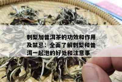 刺梨加普洱茶的功效和作用及禁忌：全面了解刺梨和普洱一起泡的好处和注意事