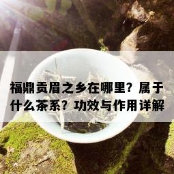 福鼎贡眉之乡在哪里？属于什么茶系？功效与作用详解