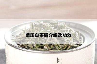 紫压白茶眉介绍及功效