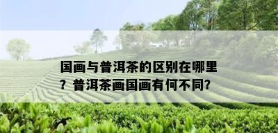 国画与普洱茶的区别在哪里？普洱茶画国画有何不同？