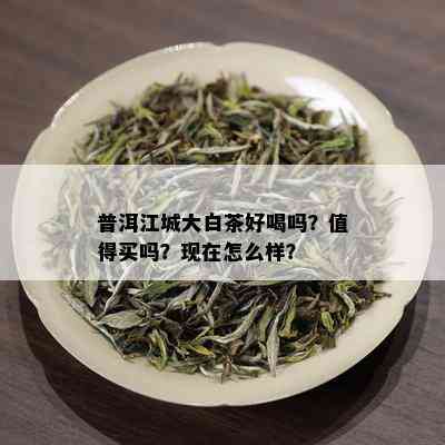 普洱江城大白茶好喝吗？值得买吗？现在怎么样？