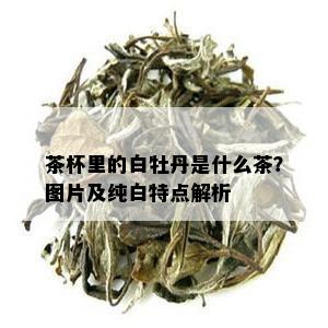 茶杯里的白牡丹是什么茶？图片及纯白特点解析