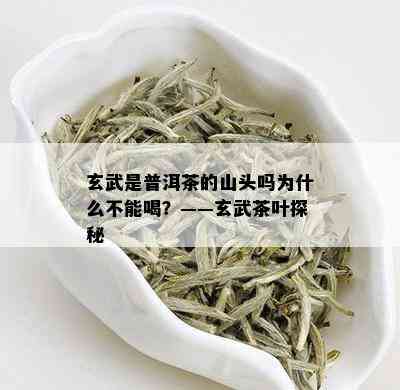 玄武是普洱茶的山头吗为什么不能喝？——玄武茶叶探秘