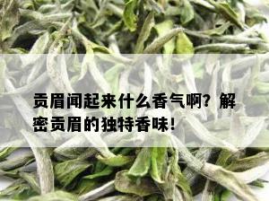 贡眉闻起来什么香气啊？解密贡眉的独特香味！