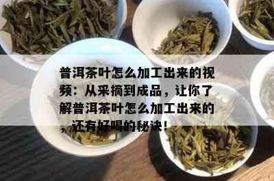 普洱茶叶怎么加工出来的视频：从采摘到成品，让你了解普洱茶叶怎么加工出来的，还有好喝的秘诀！