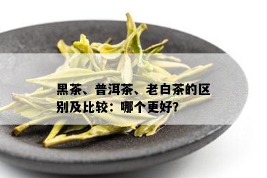 黑茶、普洱茶、老白茶的区别及比较：哪个更好？