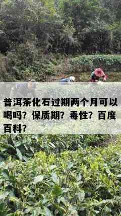 普洱茶化石过期两个月可以喝吗？保质期？性？百度百科？