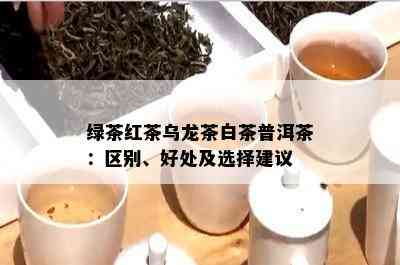 绿茶红茶乌龙茶白茶普洱茶：区别、好处及选择建议