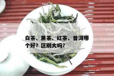 白茶、黑茶、红茶、普洱哪个好？区别大吗？