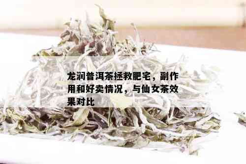 龙润普洱茶拯救肥宅，副作用和好卖情况，与仙女茶效果对比