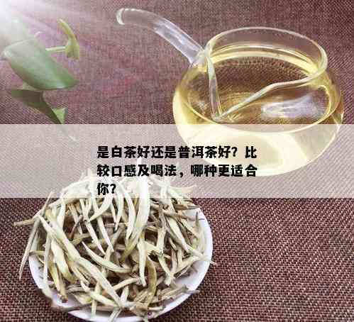 是白茶好还是普洱茶好？比较口感及喝法，哪种更适合你？