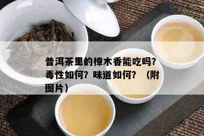 普洱茶里的樟木香能吃吗？性如何？味道如何？（附图片）