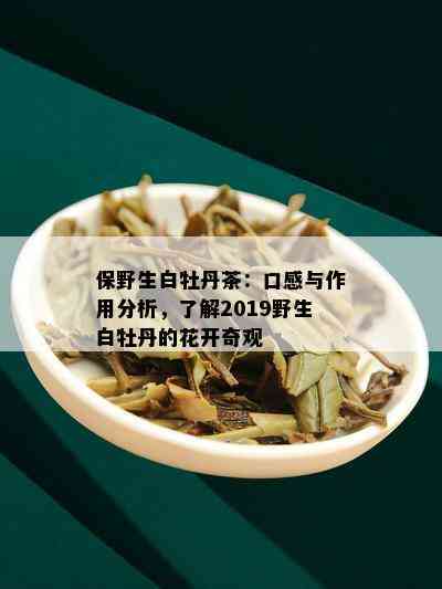 保野生白牡丹茶：口感与作用分析，了解2019野生白牡丹的花开奇观