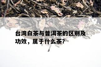 台湾白茶与普洱茶的区别及功效，属于什么茶？