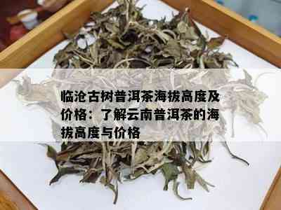 临沧古树普洱茶海拔高度及价格：了解云南普洱茶的海拔高度与价格