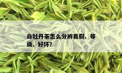 白牡丹茶怎么分辨真假、等级、好坏？