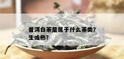 普洱白茶是属于什么茶类？生或熟？