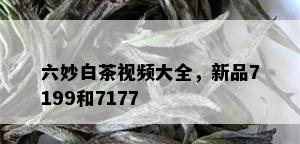 六妙白茶视频大全，新品7199和7177