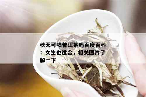 秋天可喝普洱茶吗百度百科：女生也适合，相关图片了解一下