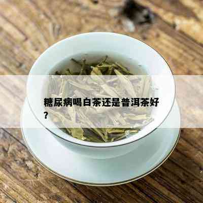 糖尿病喝白茶还是普洱茶好？