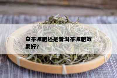 白茶减肥还是普洱茶减肥效果好？