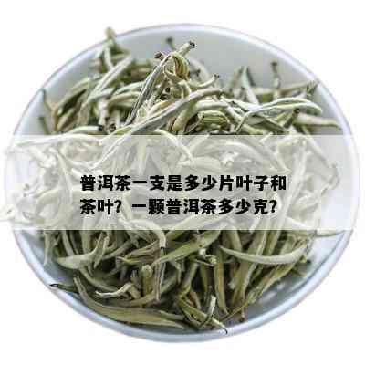 普洱茶一支是多少片叶子和茶叶？一颗普洱茶多少克？