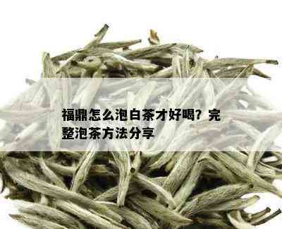 福鼎怎么泡白茶才好喝？完整泡茶方法分享