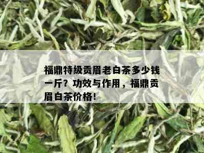 福鼎特级贡眉老白茶多少钱一斤？功效与作用，福鼎贡眉白茶价格！