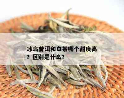 冰岛普洱和白茶哪个甜度高？区别是什么？