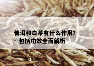 普洱和白茶有什么作用？ - 包括功效全面解析