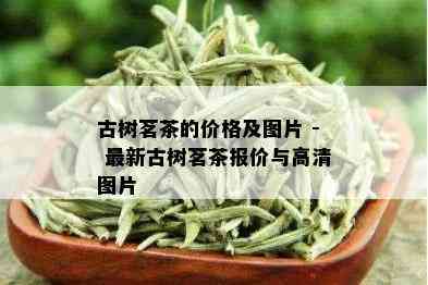 古树茗茶的价格及图片 - 最新古树茗茶报价与高清图片