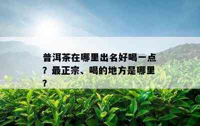 普洱茶在哪里出名好喝一点？最正宗、喝的地方是哪里？