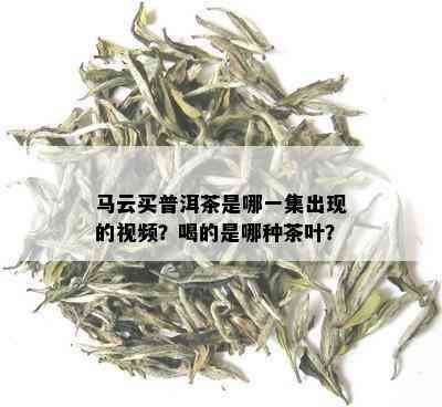 马云买普洱茶是哪一集出现的视频？喝的是哪种茶叶？