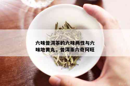 六味普洱茶的六味两性与六味地黄丸，普洱茶六奇阿旺