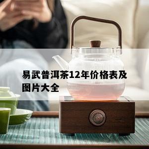 易武普洱茶12年价格表及图片大全