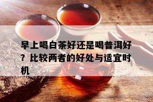 早上喝白茶好还是喝普洱好？比较两者的好处与适宜时机